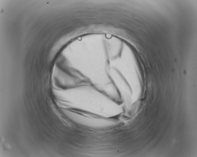 X0000082731507200702232334