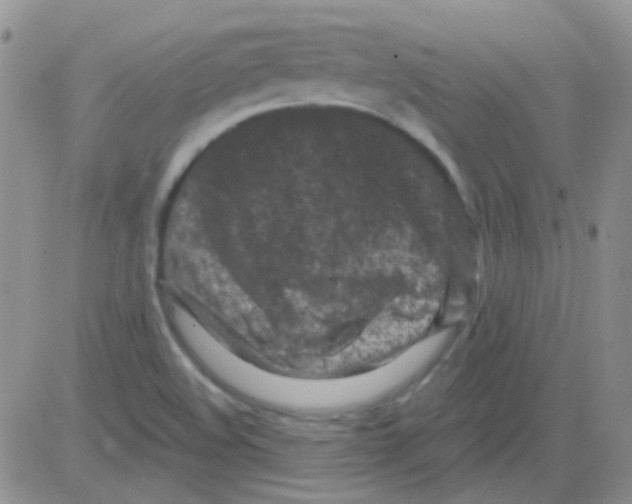 X0000082731508200702232334