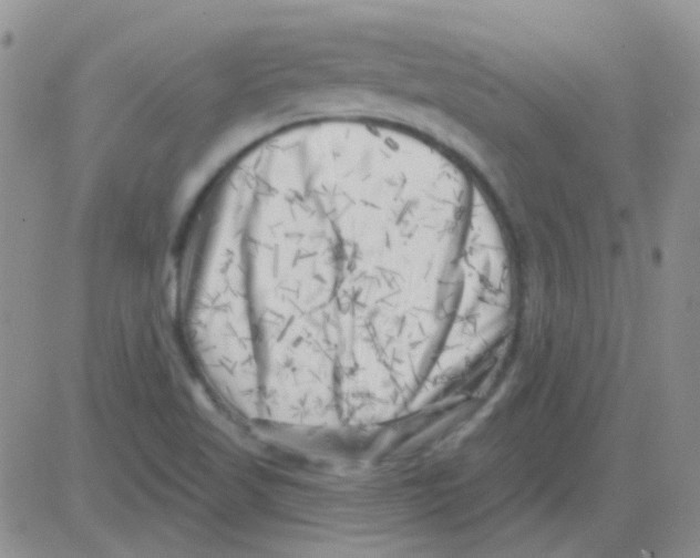 X0000082731509200702232334