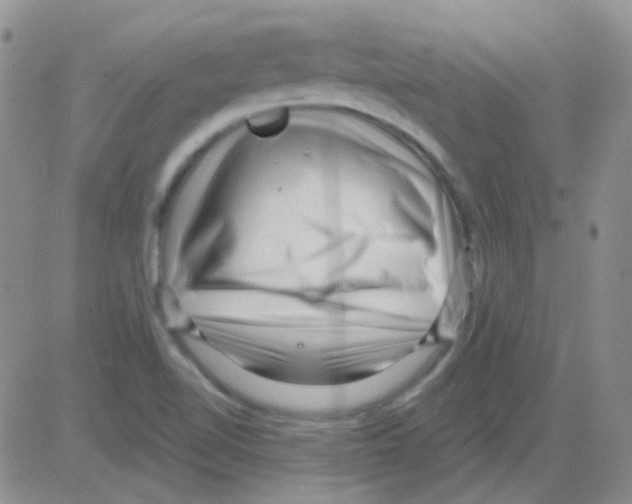 X0000082731510200702232334