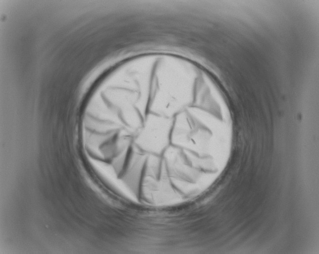 X0000082731511200702232334