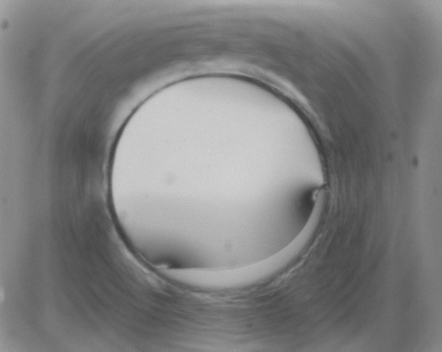 X0000082731512200702232334