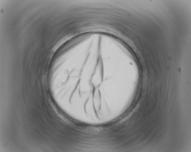 X0000082731513200702232334