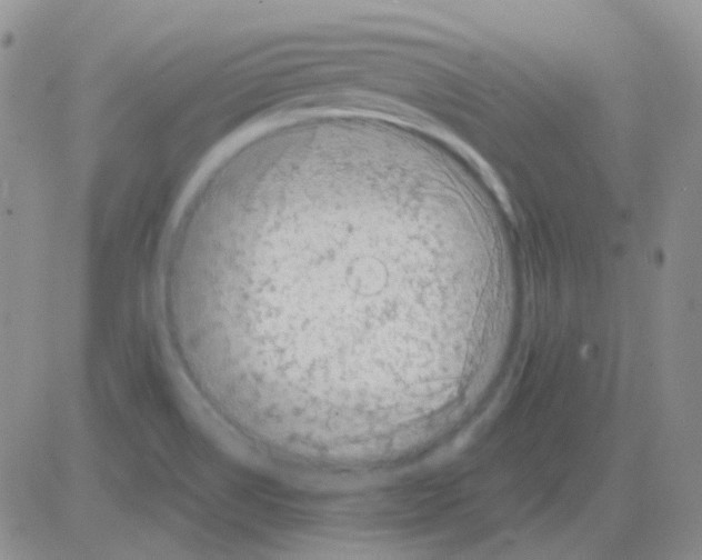 X0000082731514200702232334