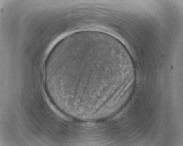 X0000082731515200702232334