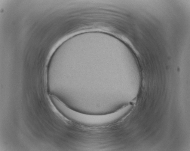 X0000082731516200702232334