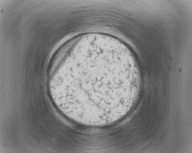 X0000082731517200702232334