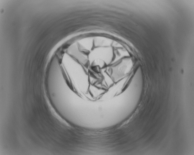 X0000082731518200702232334