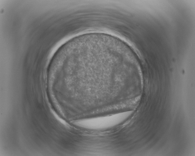 X0000082731519200702232334