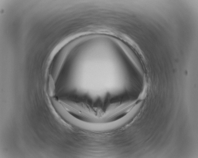 X0000082731520200702232334