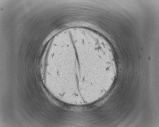 X0000082731521200702232334