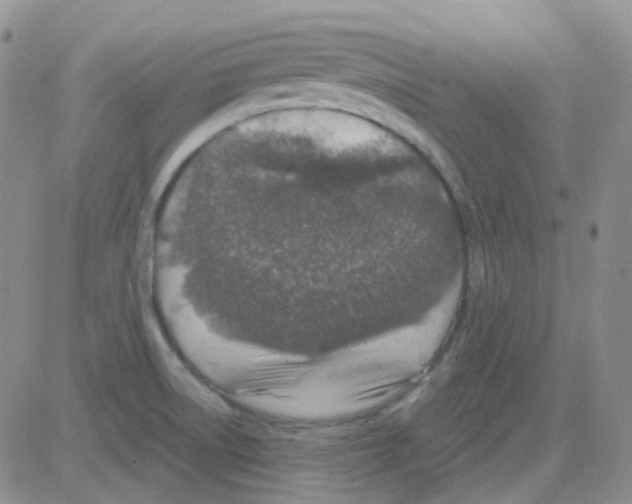 X0000082731522200702232334