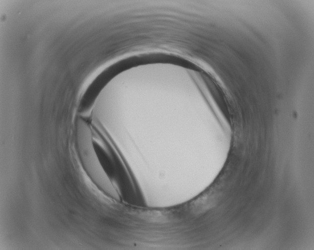 X0000082731524200702232334