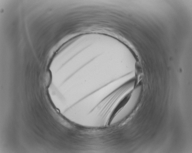 X0000082731525200702232334