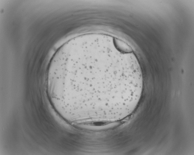 X0000082731526200702232334