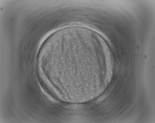 X0000082731527200702232334