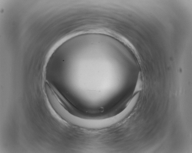 X0000082731528200702232334