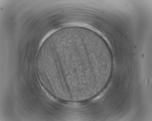 X0000082731529200702232334