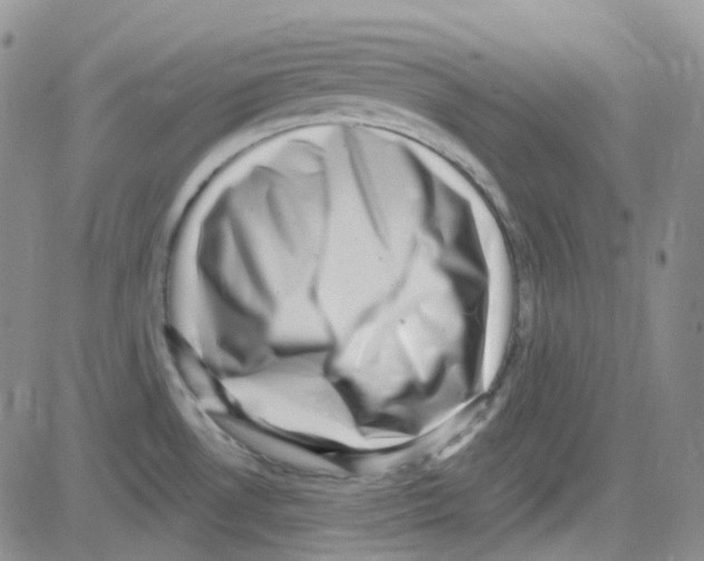 X0000082731530200702232334