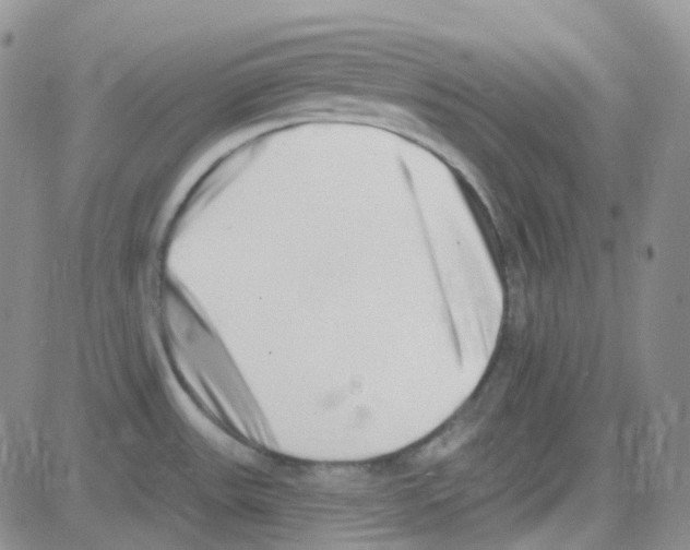 X0000082731531200702232334