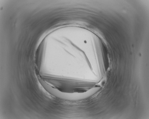 X0000082731532200702232334