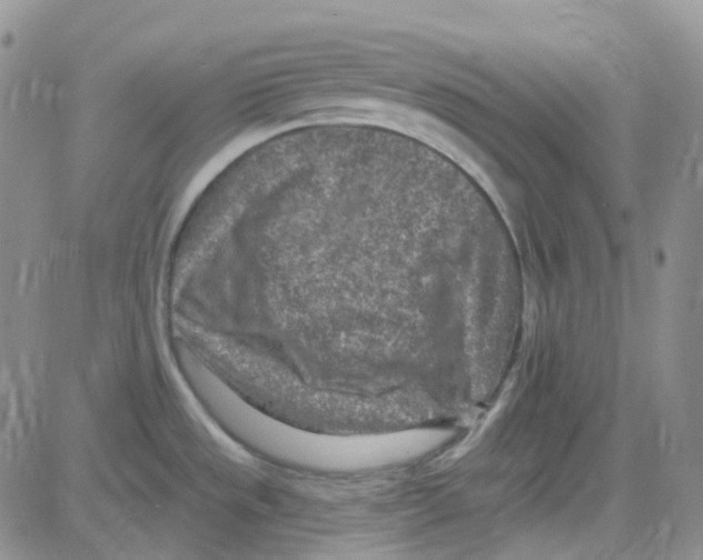 X0000082731533200702232334