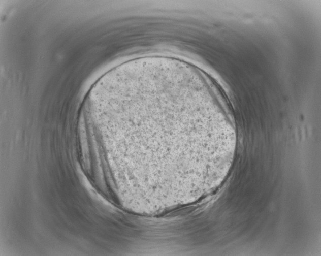 X0000082731534200702232334