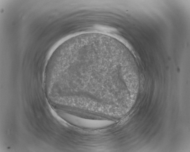 X0000082731535200702232334