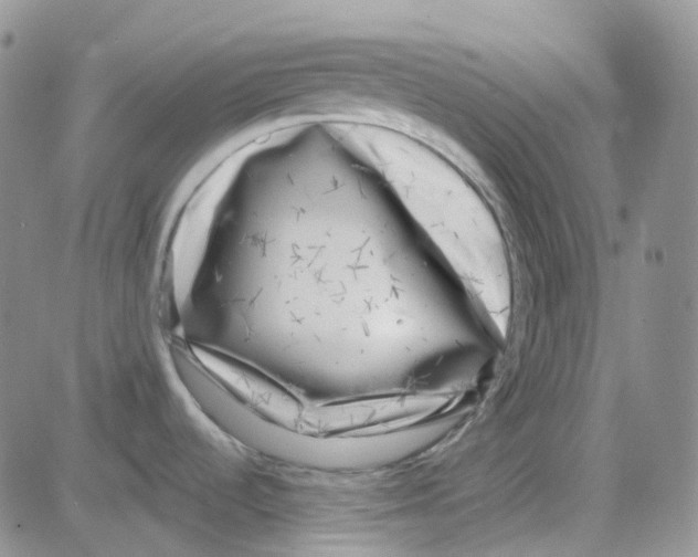 X0000082731536200702232334