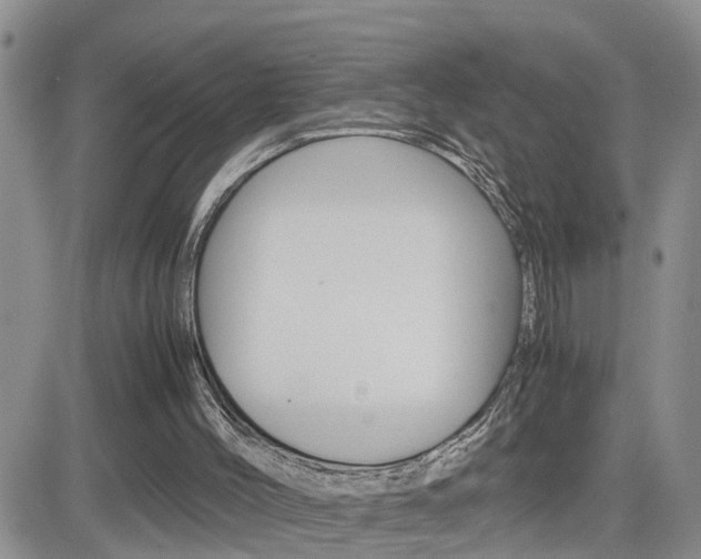 X0000082740004200701261042