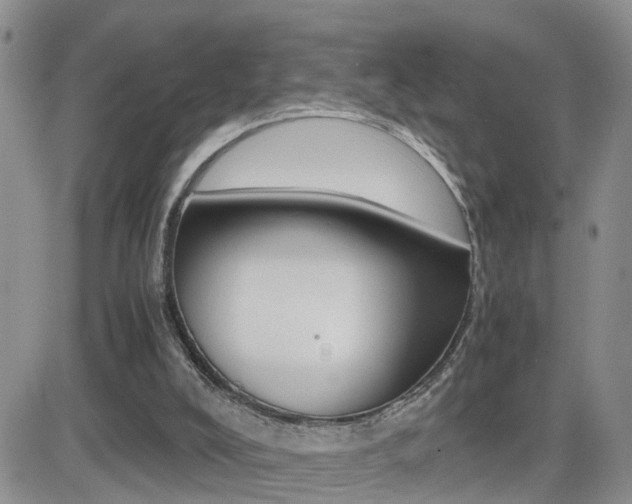 X0000082740008200701261042