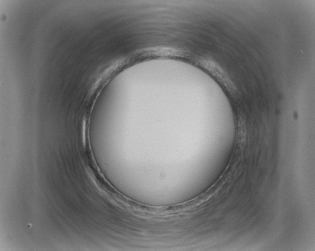 X0000082740014200701261042