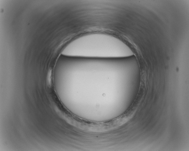 X0000082740024200701261042