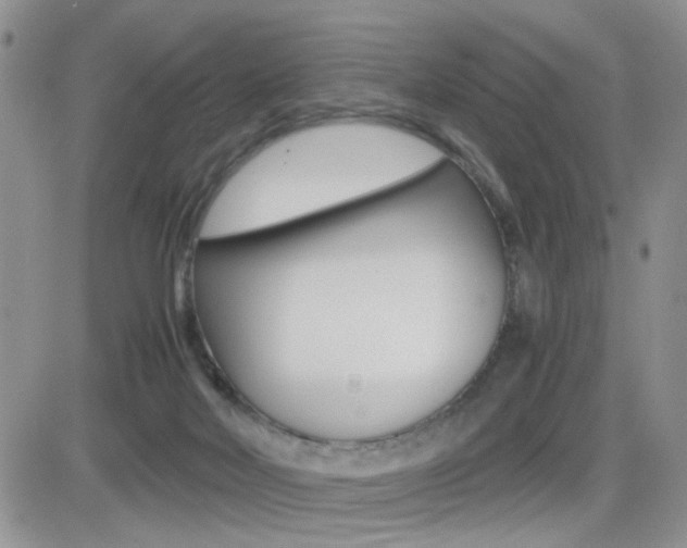 X0000082740026200701261042