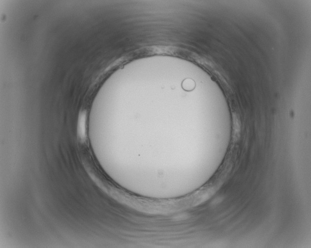 X0000082740028200701261042