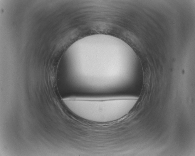 X0000082740040200701261042