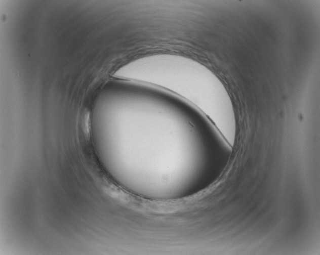 X0000082740041200701261042
