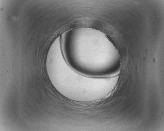 X0000082740045200701261041