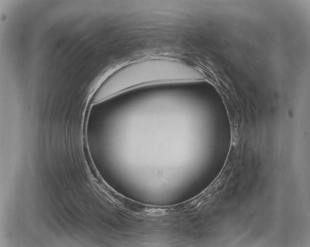 X0000082740052200701261041