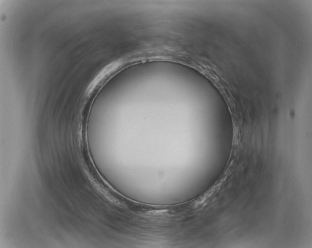 X0000082740054200701261041
