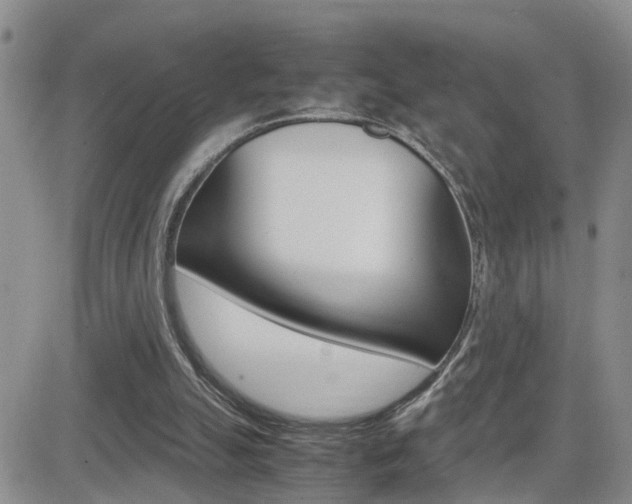 X0000082740055200701261041
