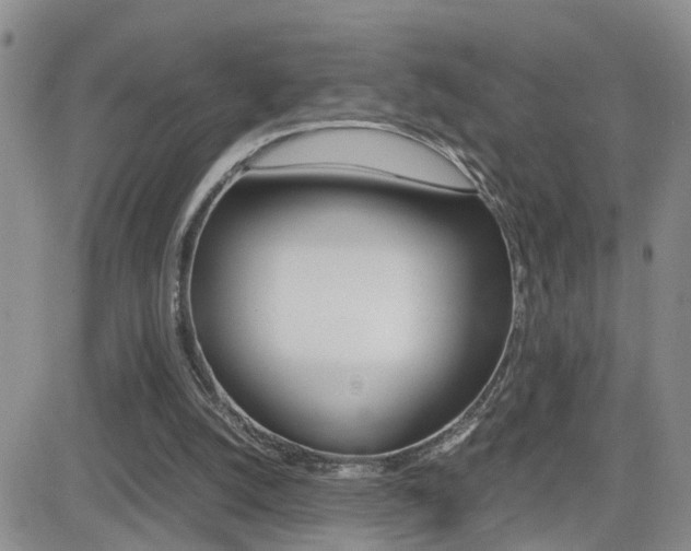 X0000082740056200701261041