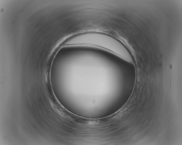 X0000082740060200701261041