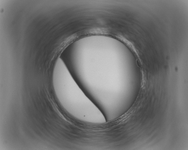 X0000082740061200701261041