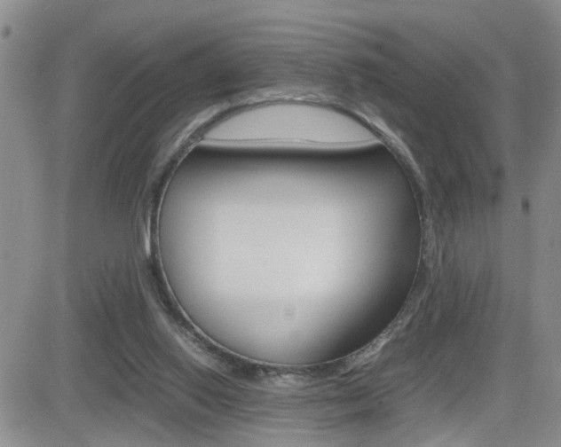 X0000082740062200701261041