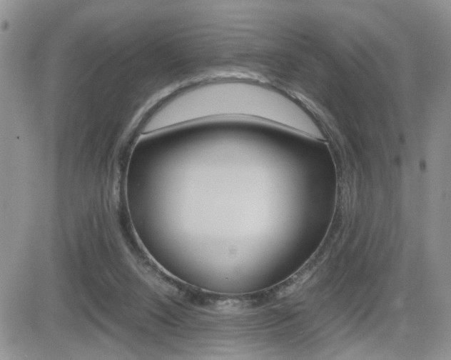 X0000082740064200701261041