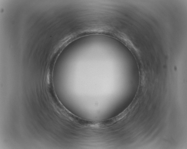 X0000082740068200701261041