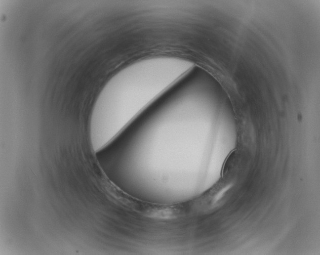 X0000082740075200701261041