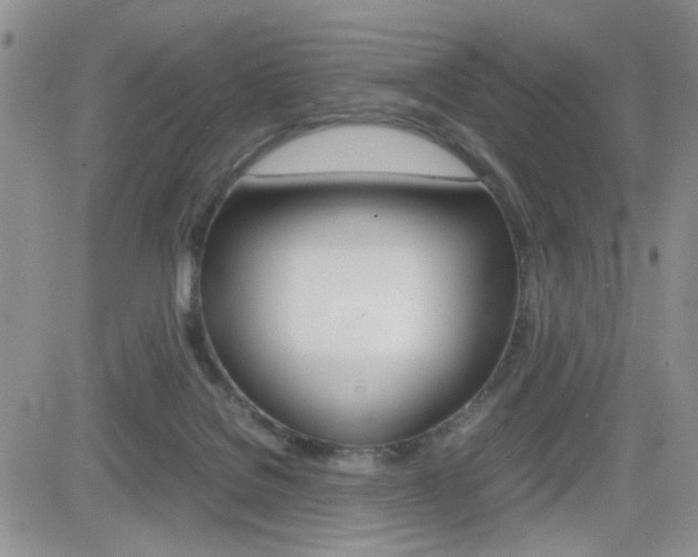 X0000082740076200701261041