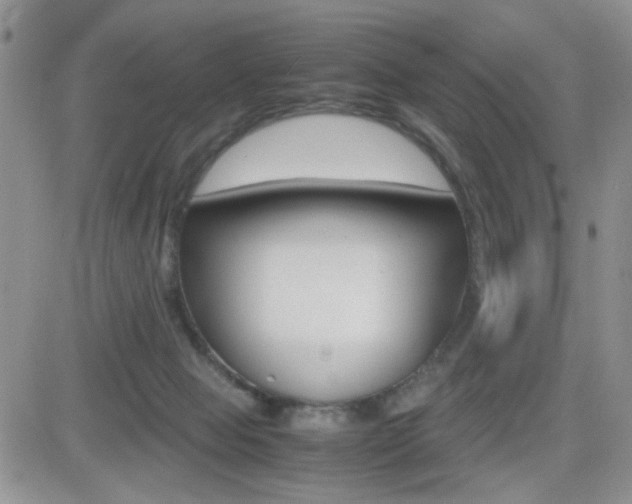 X0000082740077200701261041